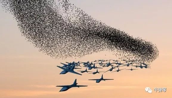 这是一个危险的信号，预示着人类一个可怕的未来！