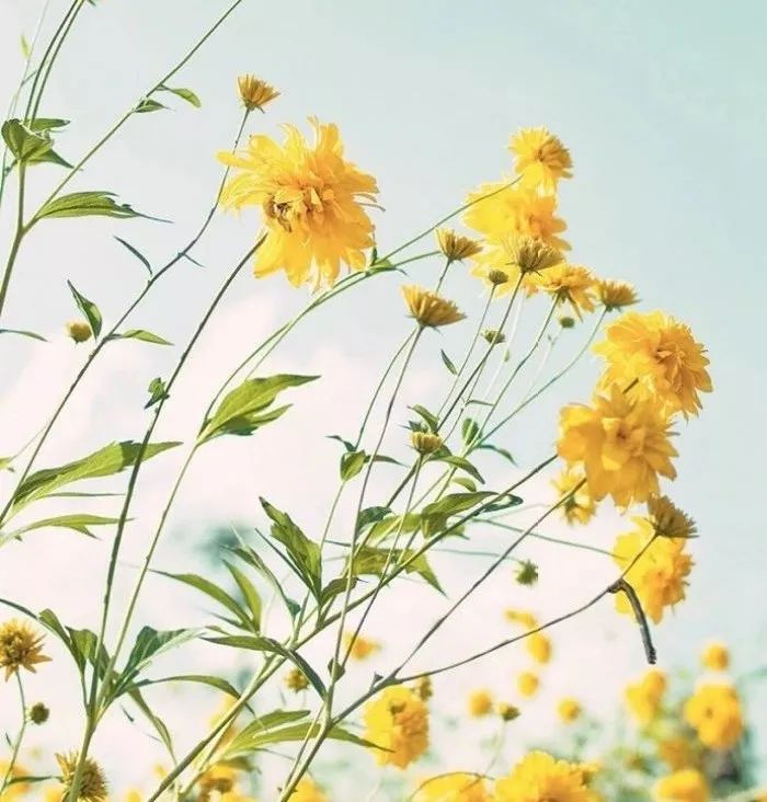 幸福，其实很简单！