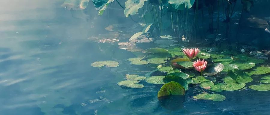 庄子：心烦意乱时，默读一遍这5句话，神清气爽，事事皆顺！