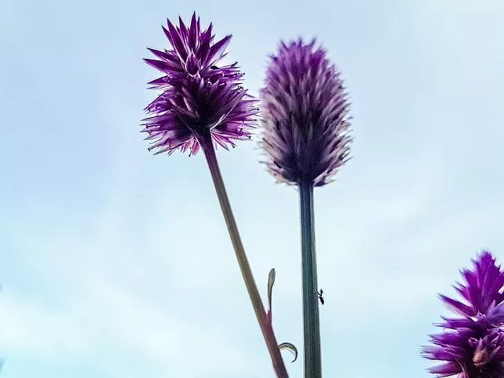 所有成功的背后，都有着不为人知的艰辛！