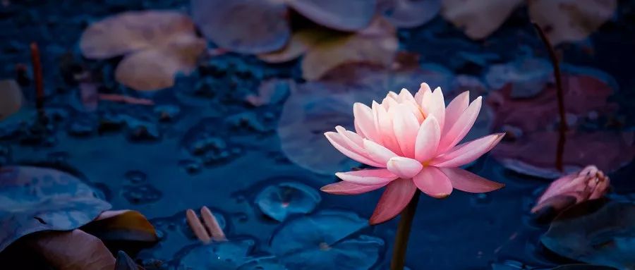 庄子的10个段子：小故事，大智慧！