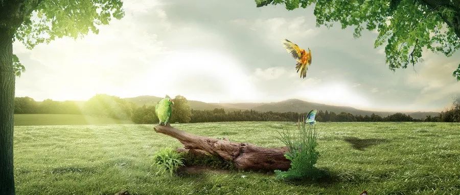 惊人的社会定律（发人深省！）