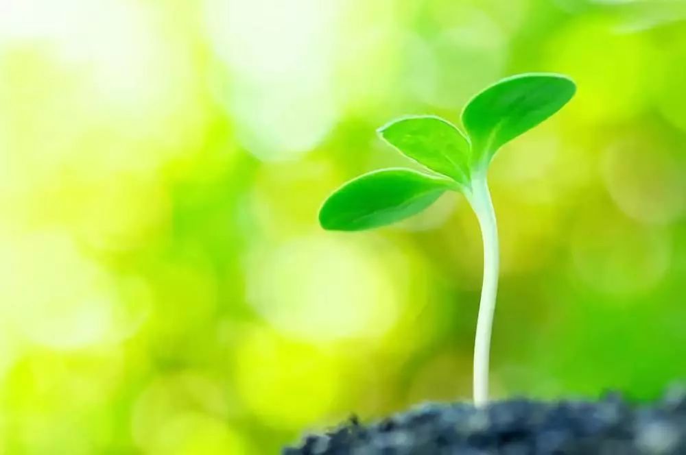 为啥多病的长寿，没病的早死？10句话说出长寿大智慧！