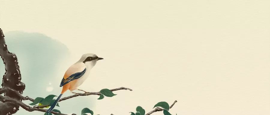 《二十四史》浓缩成24句经典，发人深省！