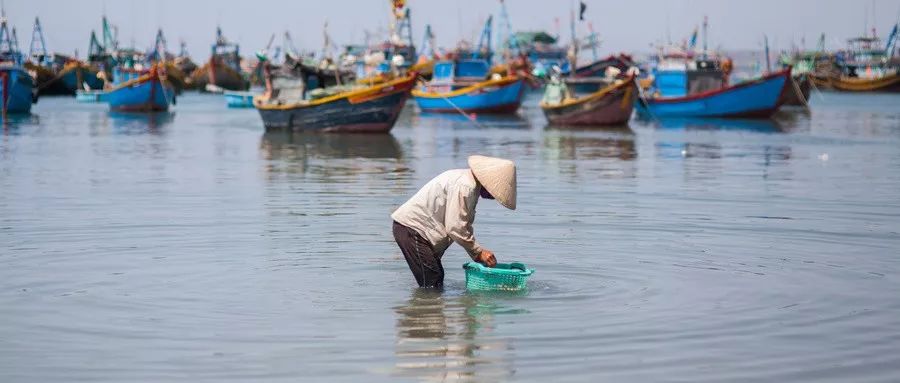 懂（深度好文）！