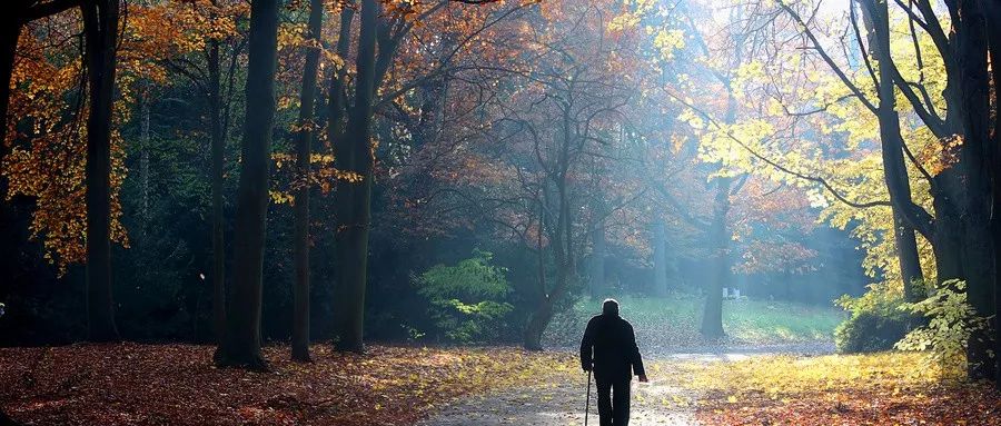 孤独时，也可以是最好的增值期！