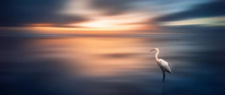 10句谚语，言简意深，句句说到心坎里！