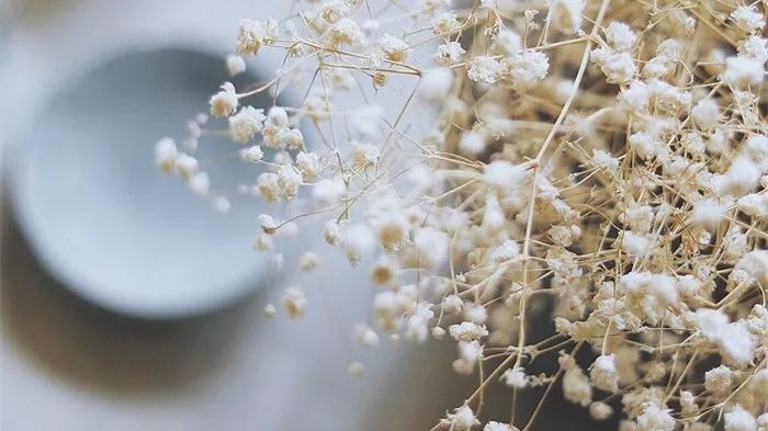 金子与烂泥（精辟！）