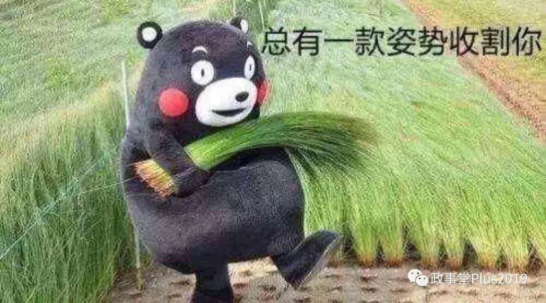 从技术层面来看张居正和他的一条鞭！