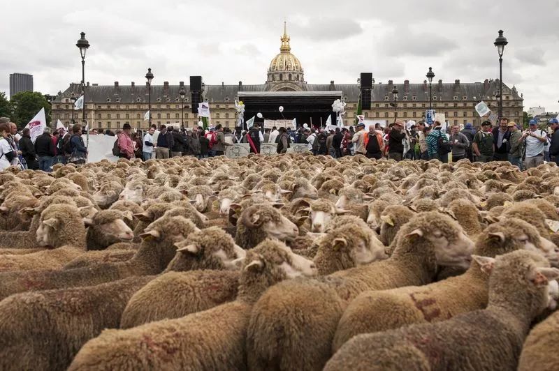 自由贸易，如果处理不好，那么就是灾难！