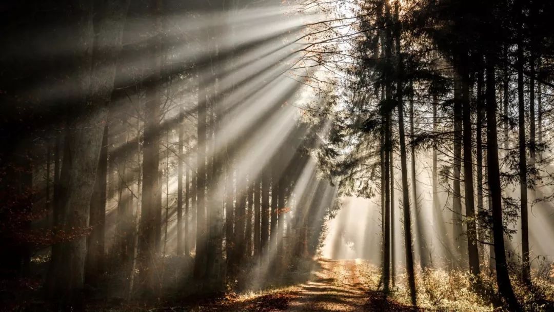 20岁、30岁、40岁、50岁、60岁、70岁、80岁、90岁！