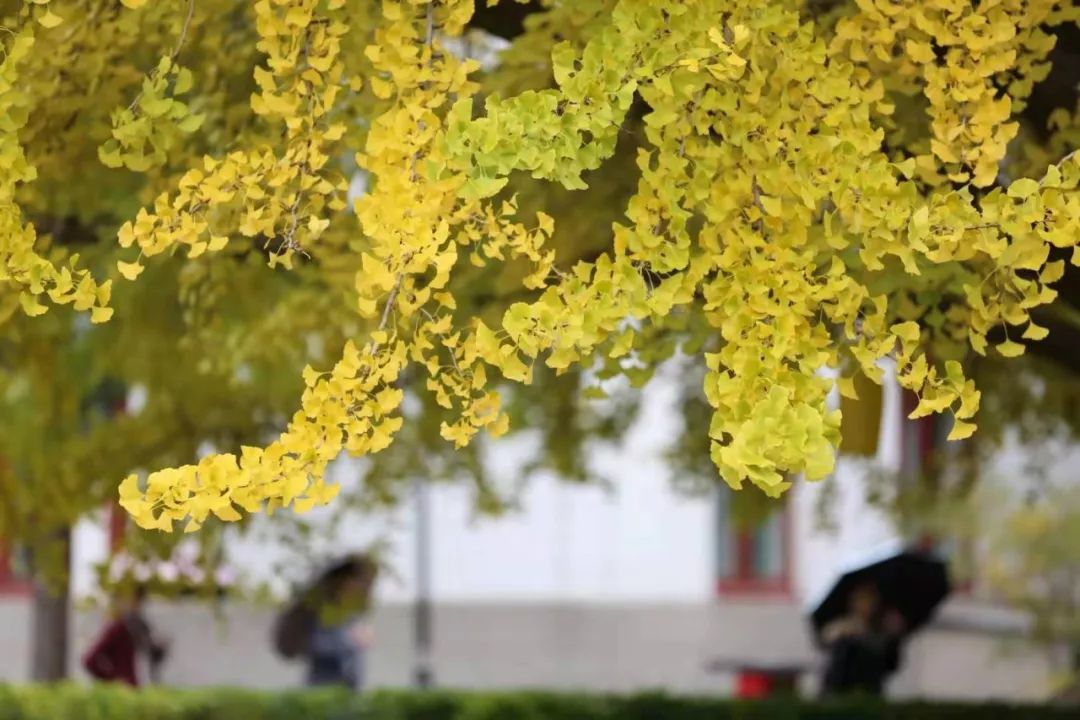 关于世界真相的十个问题！