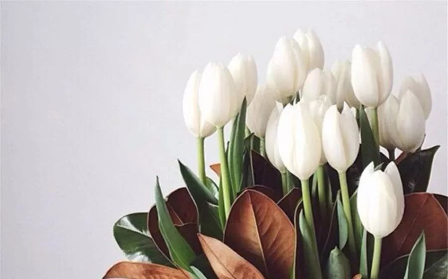 100岁老人赠言：50岁以后，就活这个字！早看早受益！