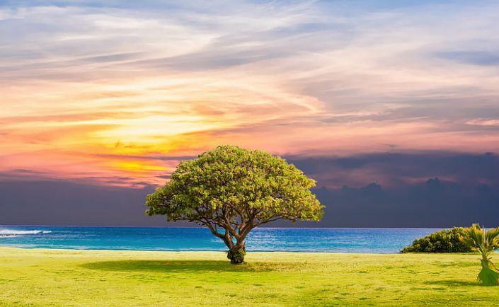 真正内心强大的人拥有这四点特征！