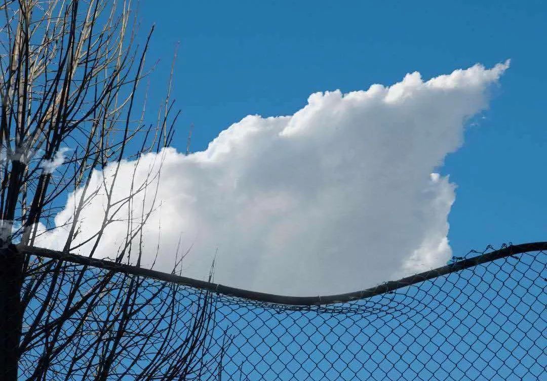 沉淀自己，是最好的升华！