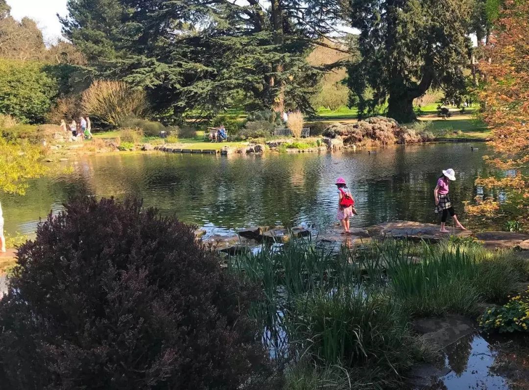 养四个孩子，明白五件事！