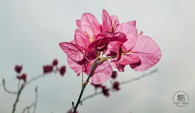 多位院士名医集体总结：不生病的10条铁律！非常难得！