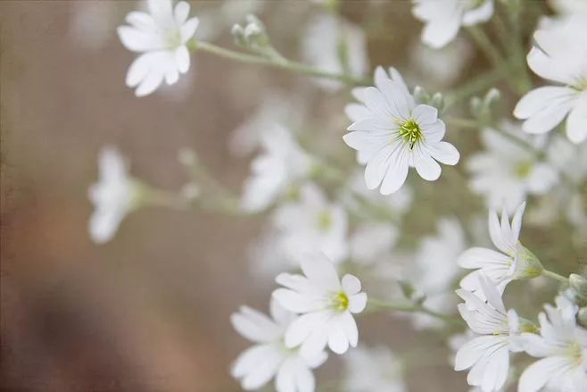 “熬夜变笨”终于被科学证实：能控制睡眠的人，方可控制人生！