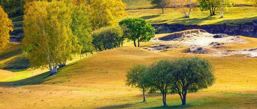 中国人8大忌讳，看完受益一生！