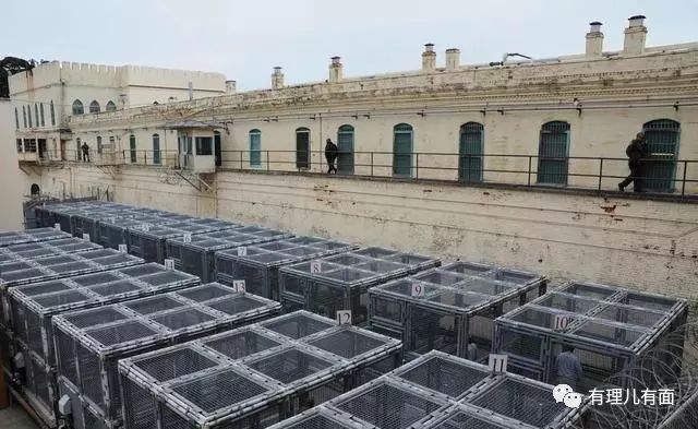 世界人权日，美国的监狱里哀嚎一片……