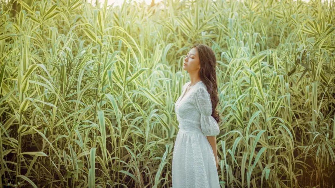 麻烦（深度好文）！