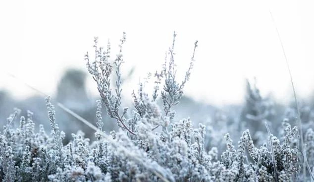 人性最大的恶，是不懂“知止”（深度好文）！