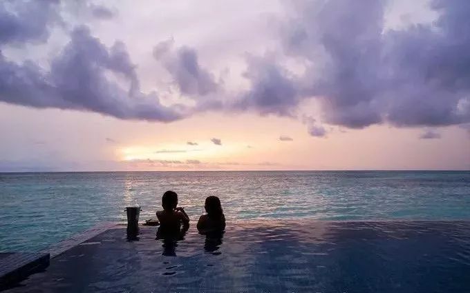 一只鸡的尊严（深度好文）！