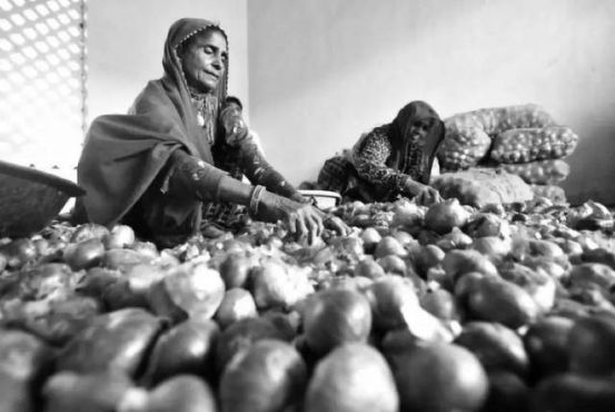 民众上街、总理下台：小小洋葱成了印度的大噩梦！