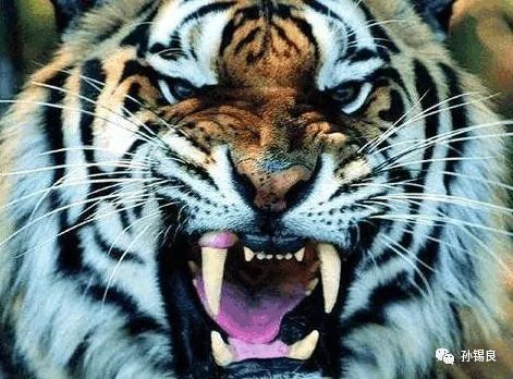 国际关系的正义真空！