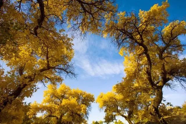 误会！（故事很短，道理很深）