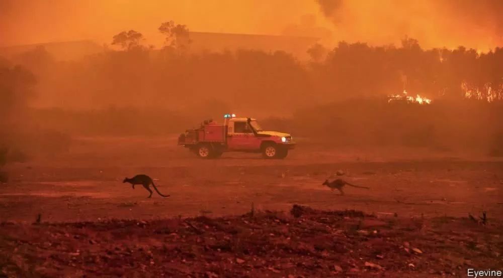 为了吸引眼球，达沃斯啥都干得出来！