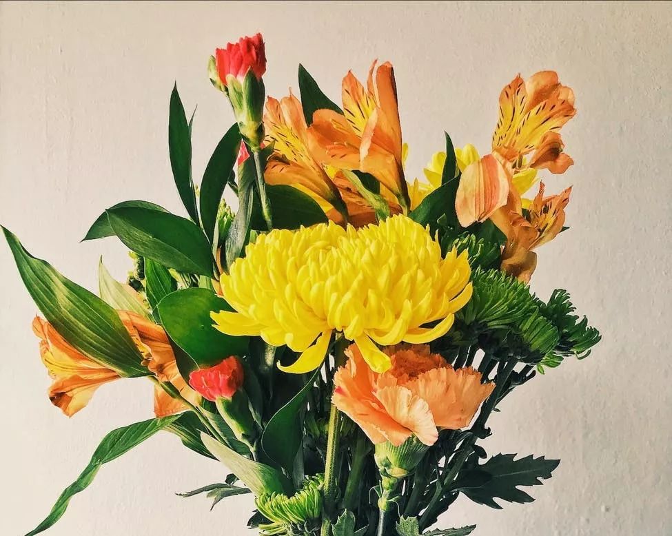 央视知名主持张悦：退休生活“十不如”，点醒无数人！