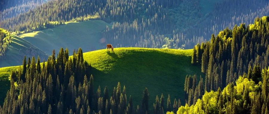 “一切都会过去的！”（深度好文）