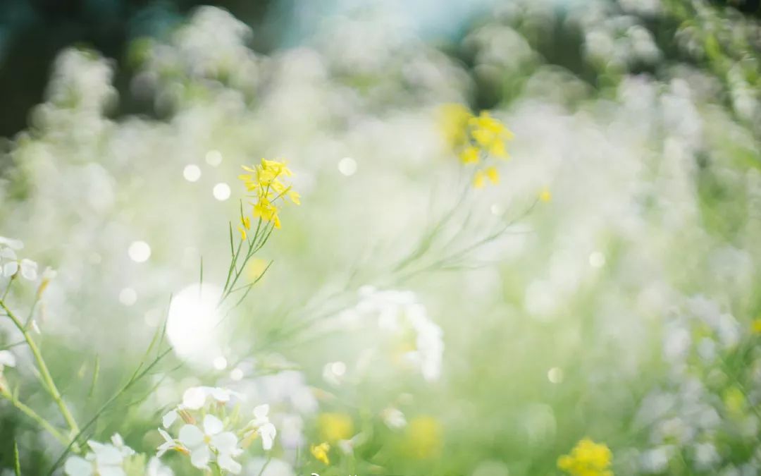 疫情正在加速淘汰7种人，你在其中吗？（深度）