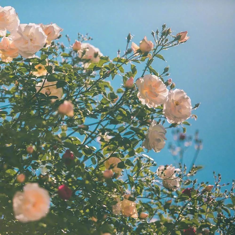 永远不要对自己做的6件事！