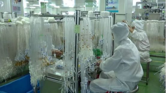 “最没存在感”省份的影响力：一个县造了中国31%的输液器！