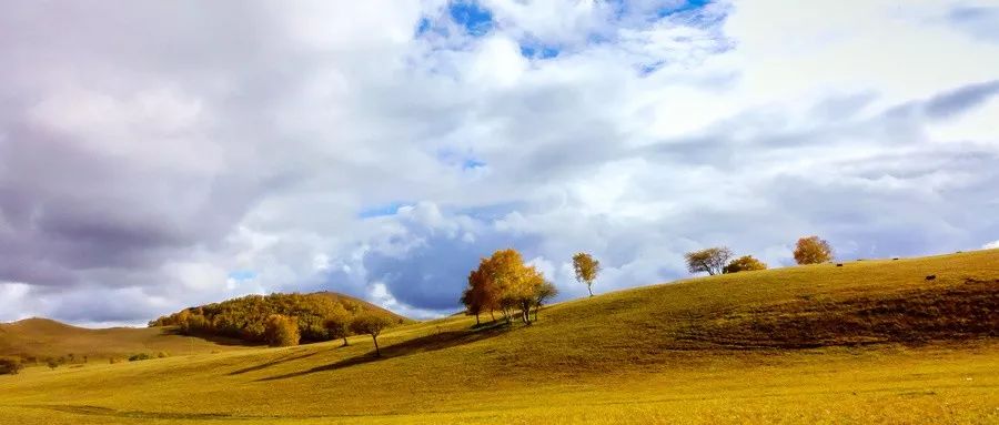 40句惊为天人的古文，哪一句是你的最爱！