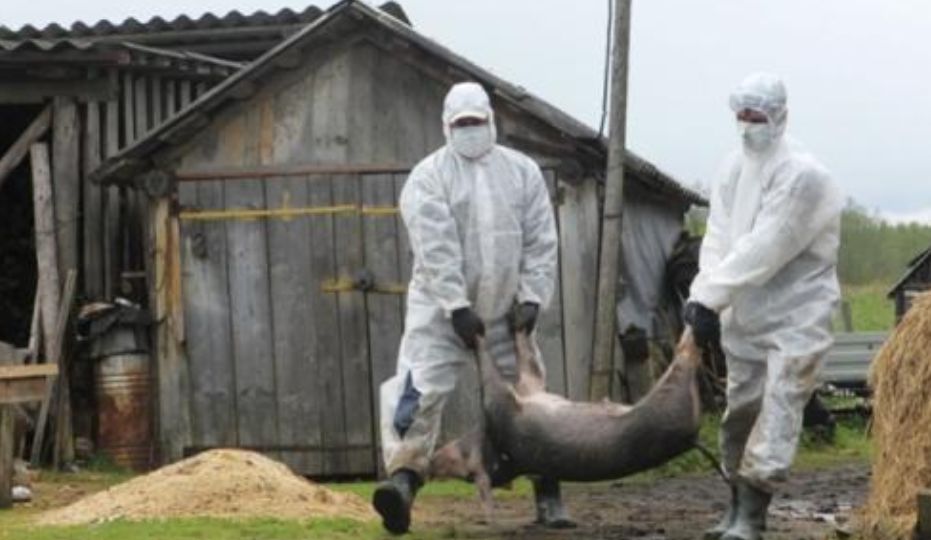 去年12月的无人机投放病毒案件应重新审理，事出反常必有妖！