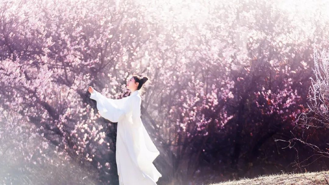 人无癖，不可交！