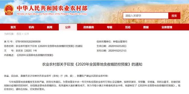 沙漠蝗危机已解，草地贪夜蛾防控形势严峻！