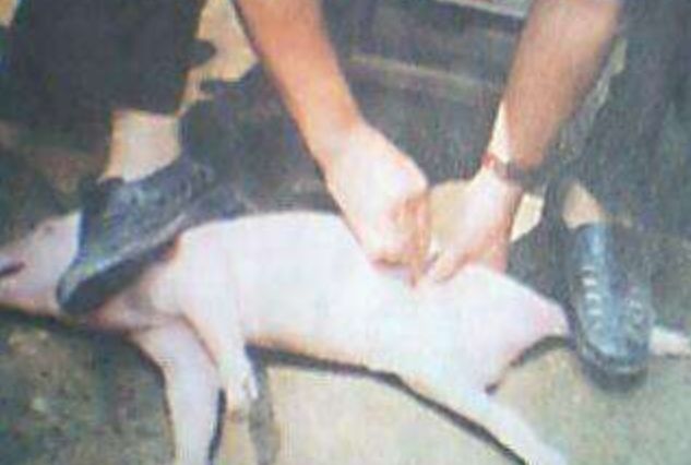 必须正视庭审之外的长期压迫和不平现象!