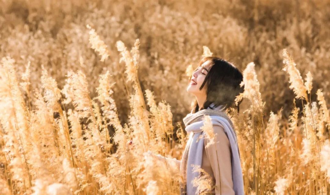 人生不过如此,不如一笑而过(深度好文)! - 相关文章背景图片