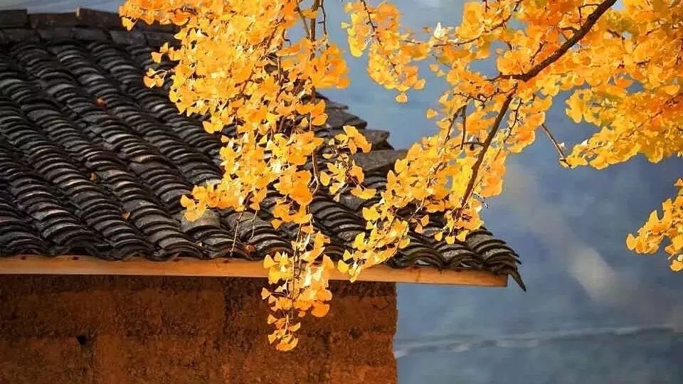 年度十佳微小说，看完久久难以忘怀！