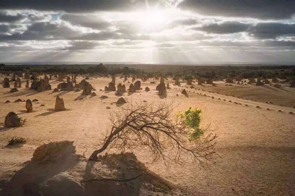 《西游记》的四座山，翻过才是人生！