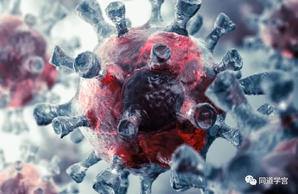 绝望：美国的防疫与救市！