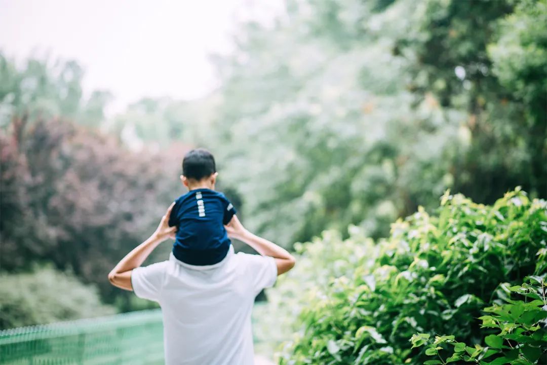 父爱，是一场人性的轮回（深度好文）！