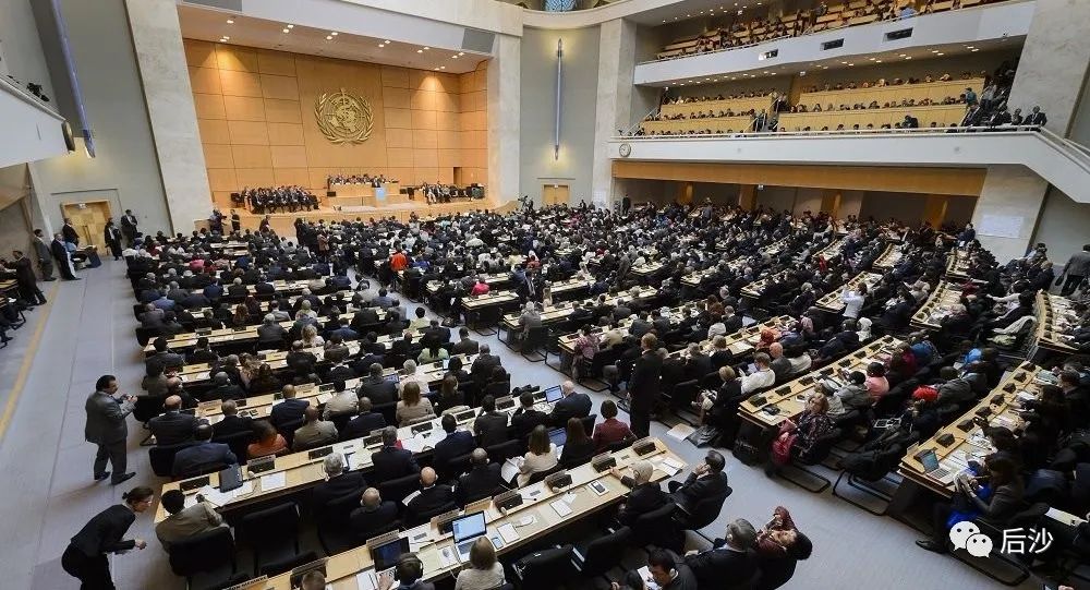 美国为何不敢让世卫专家组赴美调查？