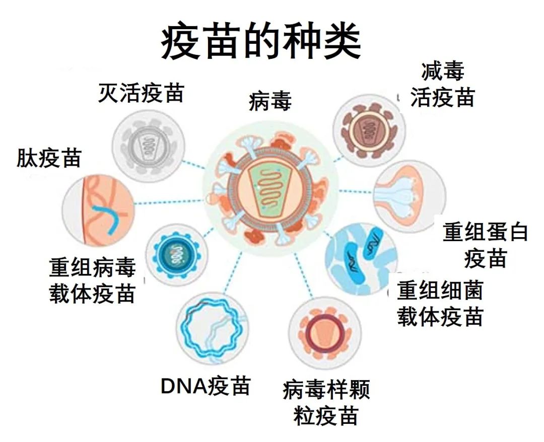认真地聊聊新冠疫苗! 精选文章 第6张-久财券ELOOKTV - 羿看TV 认真地聊聊新冠疫苗! 精选文章 第6张