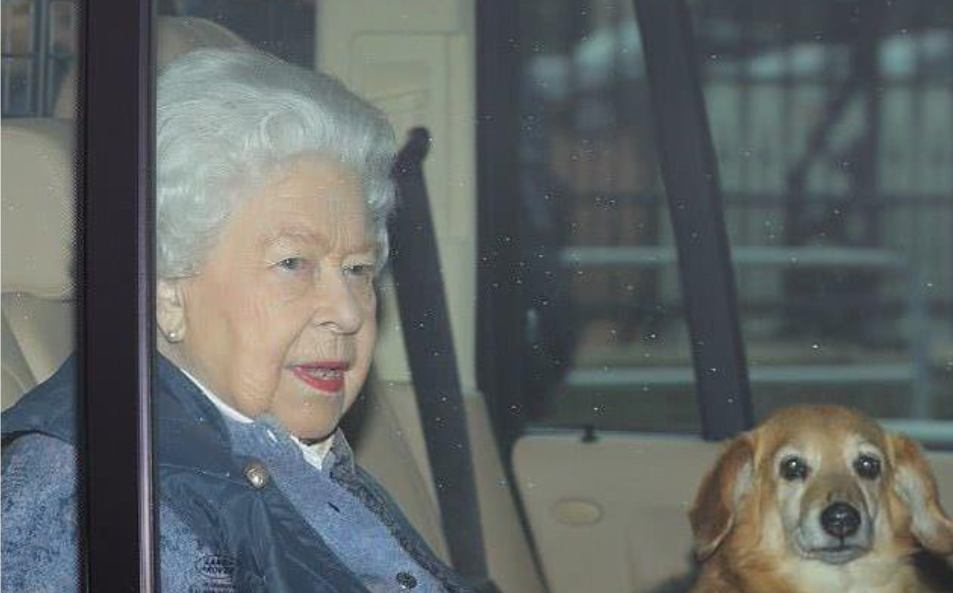 首相确诊前曾与女王会面，跑得快的老佛爷能躲过瘟疫吗？