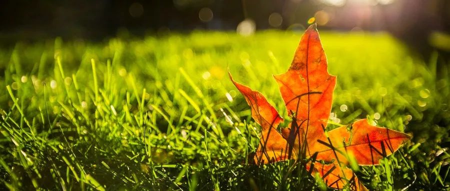 复旦附中校长大声疾呼：家长们停一停吧，否则孩子就毁了！